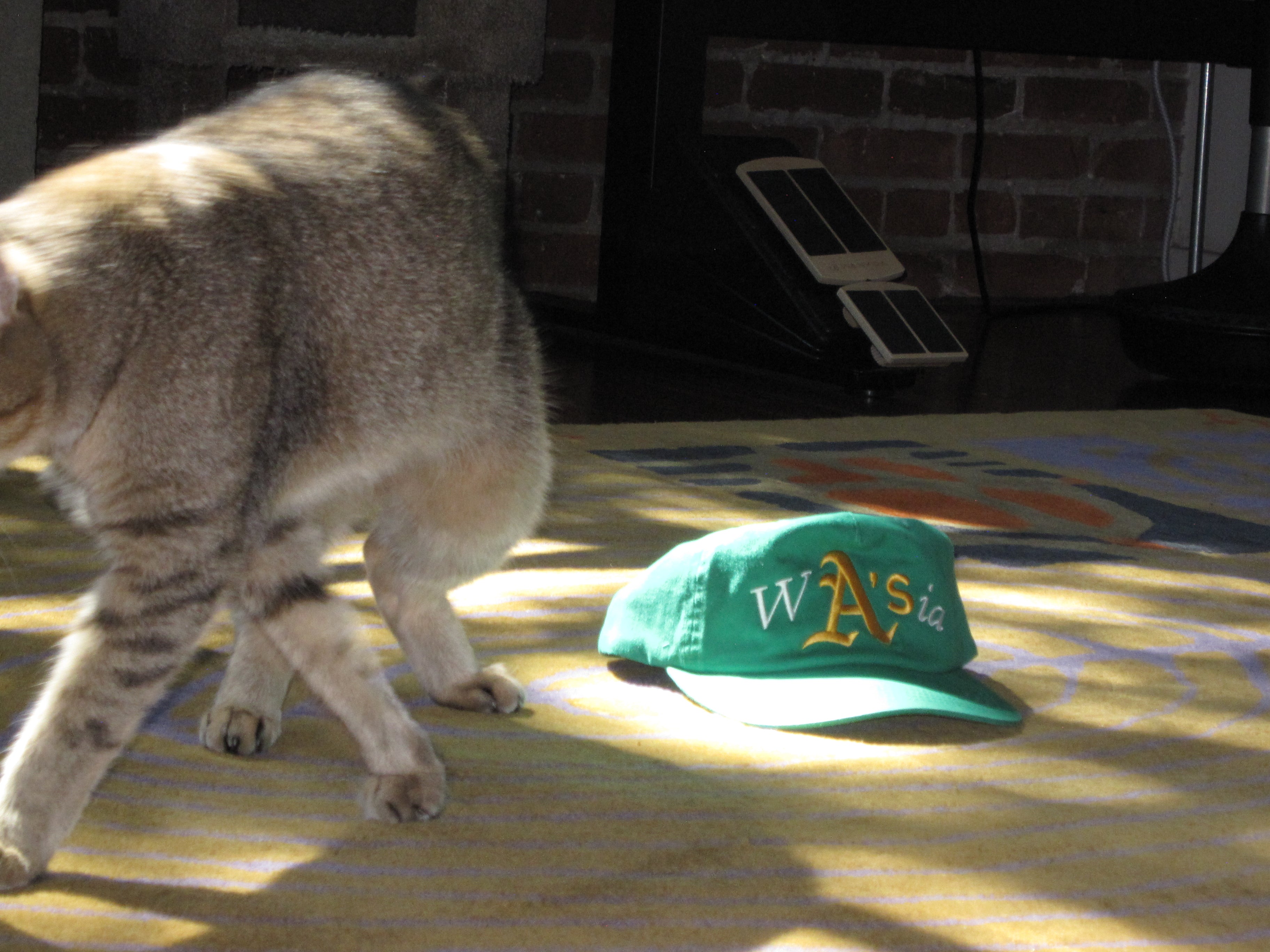 𝒲𝗔'𝘀𝒾𝒶 hat